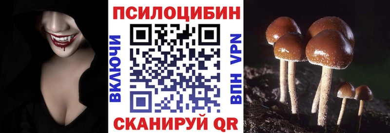 даркнет сайт  Дальнереченск  ОМГ ОМГ ссылки  Псилоцибиновые грибы MAGIC MUSHROOMS 